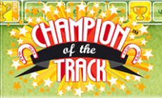 Игровой автомат Champion Of The Track