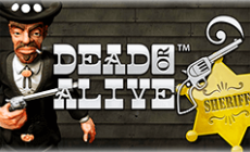 Игровой автомат Dead Or Alive