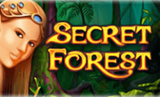 Игровой автомат Secret Forest